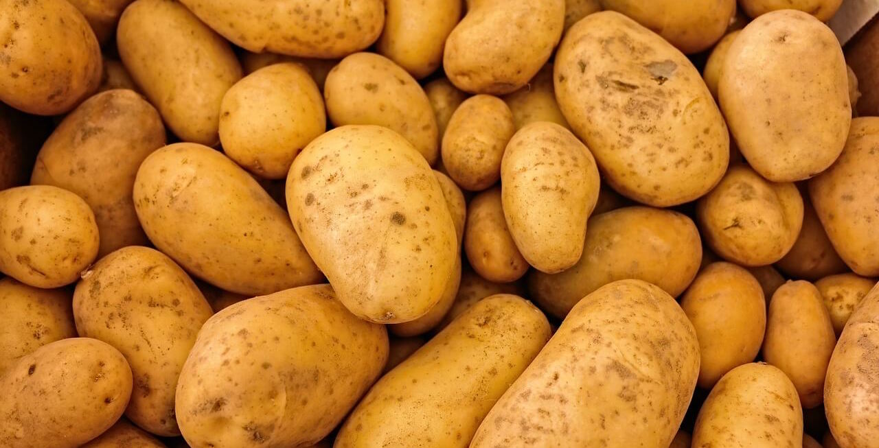 potatoes-411975_1280-2