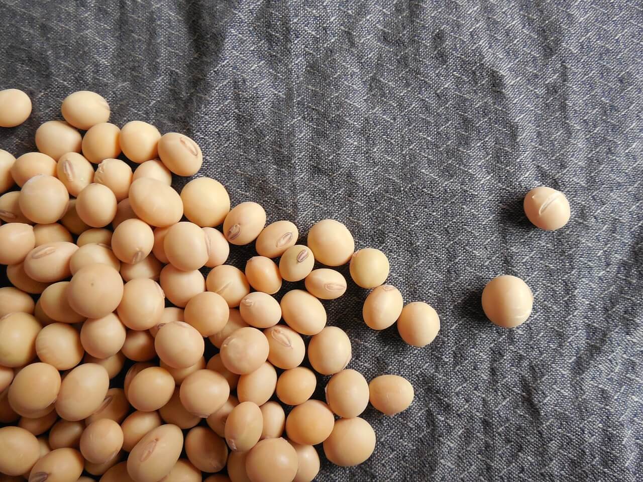 soybeans-182295_1280-2